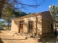 Magnificent Off-Grid Equestrian Farm in Almansa in Daft on Spain 