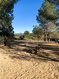 Magnificent Off-Grid Equestrian Farm in Almansa in Daft on Spain 