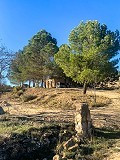 Magnificent Off-Grid Equestrian Farm in Almansa in Daft on Spain 