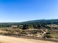 Magnificent Off-Grid Equestrian Farm in Almansa in Daft on Spain 