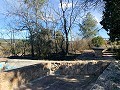 Magnificent Off-Grid Equestrian Farm in Almansa in Daft on Spain 