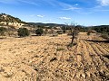 Magnificent Off-Grid Equestrian Farm in Almansa in Daft on Spain 