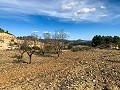Magnificent Off-Grid Equestrian Farm in Almansa in Daft on Spain 