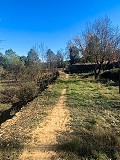Magnificent Off-Grid Equestrian Farm in Almansa in Daft on Spain 