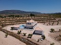 Neubauvillen in Pinoso mit Pool und Grundstück in Daft on Spain 