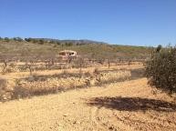 Luxe nieuwbouw villa in Daft on Spain 