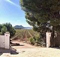 Villa exclusive hors réseau au sommet de la montagne à Villena in Daft on Spain 
