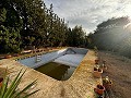 Lovely 4 Bedroom 2 Bathroom House/Chalet in Urb Loma Bada in Daft on Spain 
