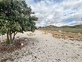 Beautiful rustic home with pool and bar in Los Gabrieles in Daft on Spain 
