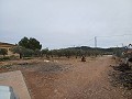 Landhaus zu verkaufen in der Nähe von La Romana in Daft on Spain 