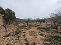 Landhaus zu verkaufen in der Nähe von La Romana in Daft on Spain 
