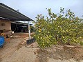 Landhaus zu verkaufen in der Nähe von La Romana in Daft on Spain 