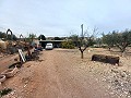 Landhaus zu verkaufen in der Nähe von La Romana in Daft on Spain 