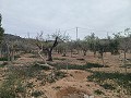 Landhaus zu verkaufen in der Nähe von La Romana in Daft on Spain 