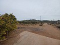 Landhaus zu verkaufen in der Nähe von La Romana in Daft on Spain 