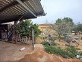 Landhaus zu verkaufen in der Nähe von La Romana in Daft on Spain 