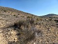 Land for sale in Pinoso. in Daft on Spain 