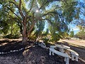 Schöne Villa mit 3 Schlafzimmern und 2 Bädern in Aspe in Daft on Spain 