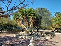 Schöne Villa mit 3 Schlafzimmern und 2 Bädern in Aspe in Daft on Spain 