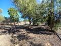 Schöne Villa mit 3 Schlafzimmern und 2 Bädern in Aspe in Daft on Spain 