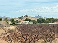 Schönes Grundstück in fußläufiger Entfernung zur Stadt. in Daft on Spain 