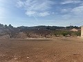 Schönes Grundstück in fußläufiger Entfernung zur Stadt. in Daft on Spain 