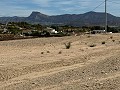 Schönes Grundstück in fußläufiger Entfernung zur Stadt. in Daft on Spain 
