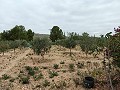  Charmante maison de campagne in Daft on Spain 