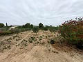  Charmante maison de campagne in Daft on Spain 