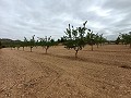  Charmante maison de campagne in Daft on Spain 
