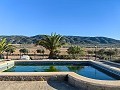 Beautiful Country home in Yecla in Daft on Spain 