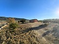 Beautiful Country home in Yecla in Daft on Spain 