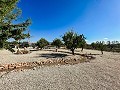 Stunning new build villas  in Daft on Spain 