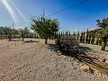 Stunning new build villas  in Daft on Spain 
