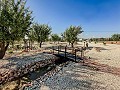 Stunning new build villas  in Daft on Spain 
