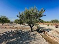 Stunning new build villas  in Daft on Spain 