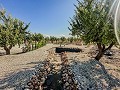 Stunning new build villas  in Daft on Spain 