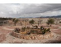 Schöne Villa mit 3 Schlafzimmern und 2 Bädern, Pinoso. in Daft on Spain 