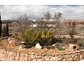 Schöne Villa mit 3 Schlafzimmern und 2 Bädern, Pinoso. in Daft on Spain 