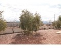 Schöne Villa mit 3 Schlafzimmern und 2 Bädern, Pinoso. in Daft on Spain 