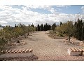 Schöne Villa mit 3 Schlafzimmern und 2 Bädern, Pinoso. in Daft on Spain 