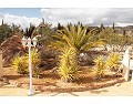Schöne Villa mit 3 Schlafzimmern und 2 Bädern, Pinoso. in Daft on Spain 