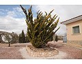 Schöne Villa mit 3 Schlafzimmern und 2 Bädern, Pinoso. in Daft on Spain 