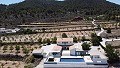 Magnifique Villa 5 Chambres 6 Salles de Bain in Daft on Spain 