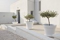 Magnifique Villa 5 Chambres 6 Salles de Bain in Daft on Spain 