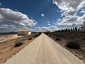 Klaar nu, wow-factor villa met zwembad, gastenverblijf en bar! in Daft on Spain 