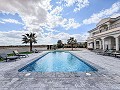 Klaar nu, wow-factor villa met zwembad, gastenverblijf en bar! in Daft on Spain 