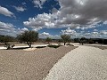 Klaar nu, wow-factor villa met zwembad, gastenverblijf en bar! in Daft on Spain 