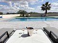 Klaar nu, wow-factor villa met zwembad, gastenverblijf en bar! in Daft on Spain 