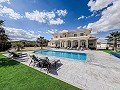 Klaar nu, wow-factor villa met zwembad, gastenverblijf en bar! in Daft on Spain 